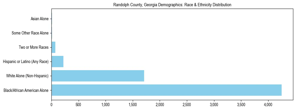 Race and Ethnicity Distribution Chart for Randolph County, Georgia