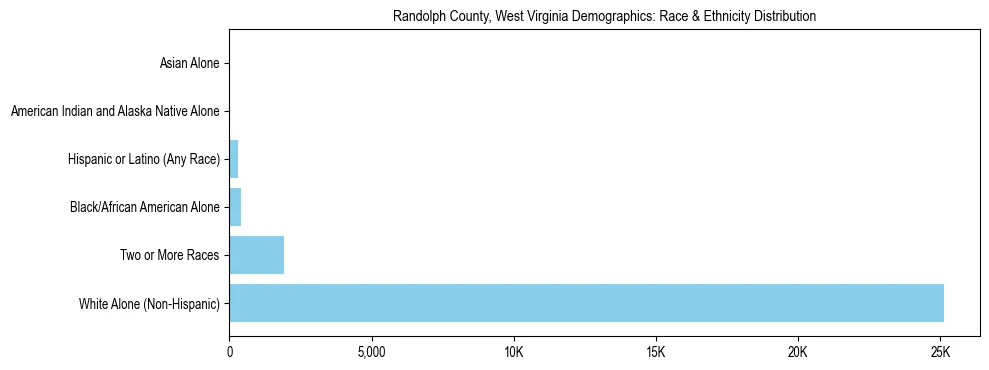 Race and Ethnicity Distribution Chart for Randolph County, West Virginia