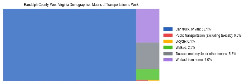 Treemap showing means of transportation to work distribution in Randolph County, West Virginia.