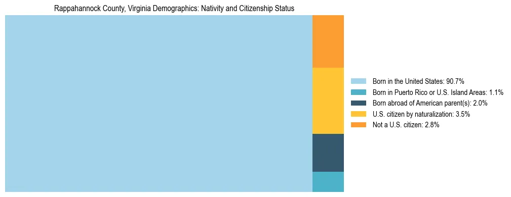Treemap showing the population distribution by nativity and citizenship status in Rappahannock County, Virginia based on U.S. Census data.