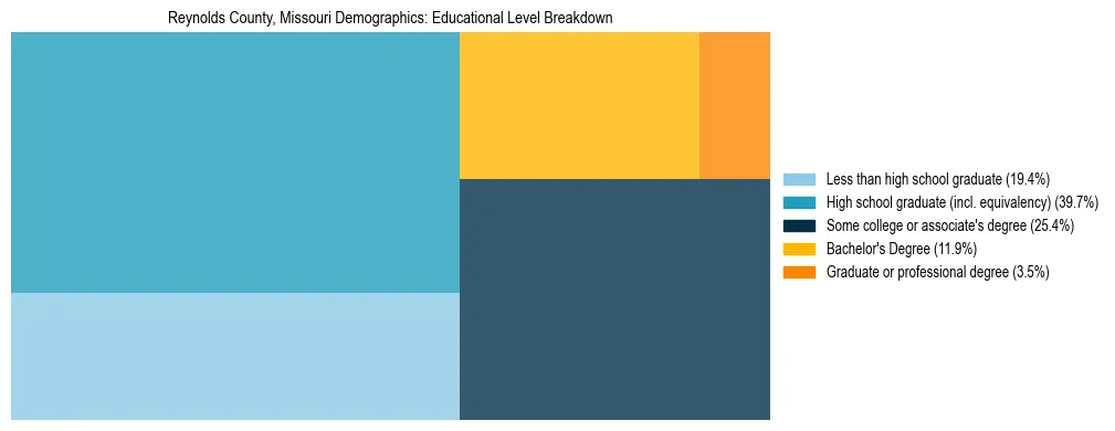 Treemap chart illustrating the educational attainment breakdown for population 25 years and over in Reynolds County, Missouri.