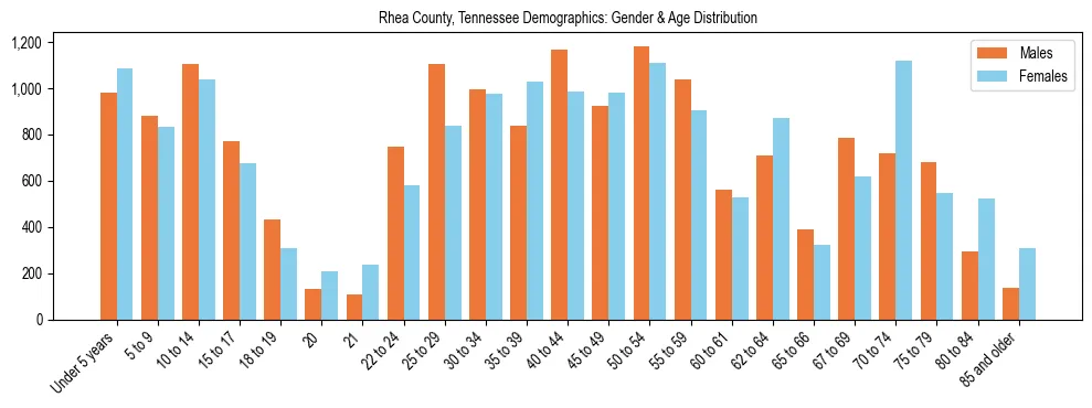 Bar chart showing the population distribution of Rhea County, Tennessee by age group and gender, based on 2023 ACS data.