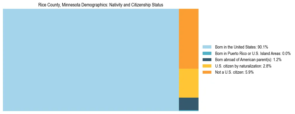 Treemap showing the population distribution by nativity and citizenship status in Rice County, Minnesota based on U.S. Census data.