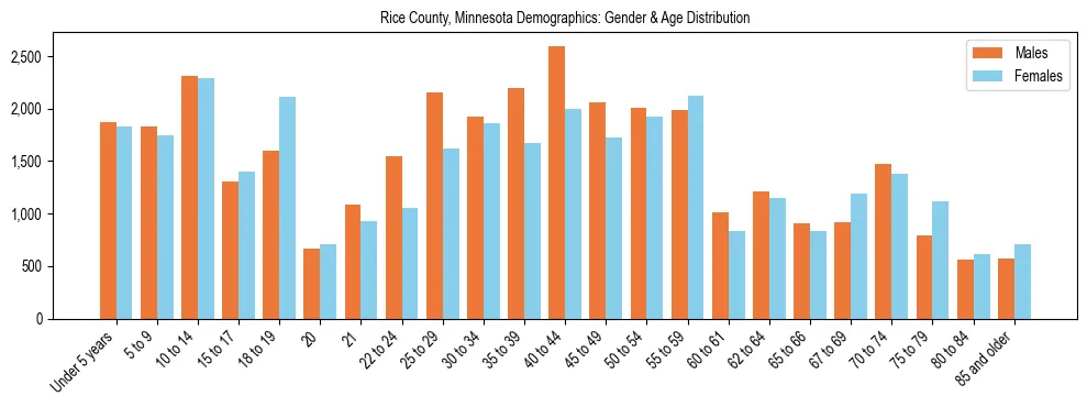 Bar chart showing the population distribution of Rice County, Minnesota by age group and gender, based on 2023 ACS data.