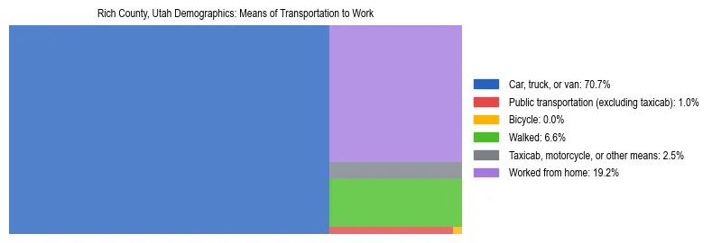 Treemap showing means of transportation to work distribution in Rich County, Utah.