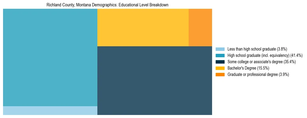 Treemap chart illustrating the educational attainment breakdown for population 25 years and over in Richland County, Montana.