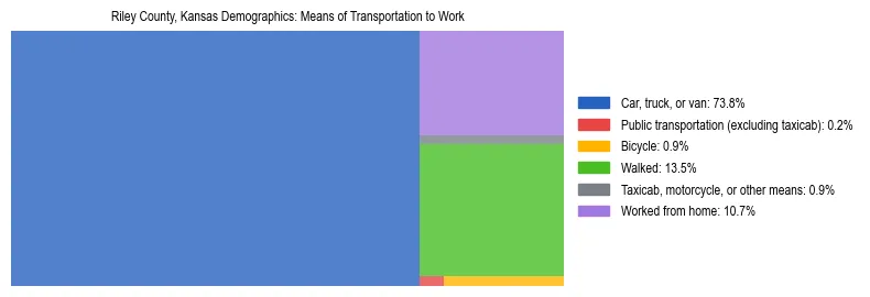 Treemap showing means of transportation to work distribution in Riley County, Kansas.