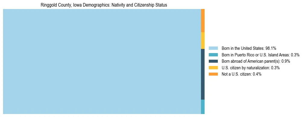 Treemap showing the population distribution by nativity and citizenship status in Ringgold County, Iowa based on U.S. Census data.
