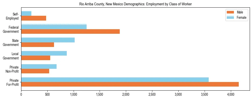 Horizontal bar chart showing employment distribution by class of worker and gender in Rio Arriba County, New Mexico, based on 2023 ACS data.