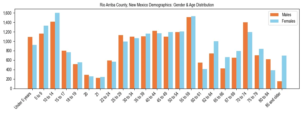 Bar chart showing the population distribution of Rio Arriba County, New Mexico by age group and gender, based on 2023 ACS data.