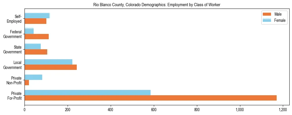 Horizontal bar chart showing employment distribution by class of worker and gender in Rio Blanco County, Colorado, based on 2023 ACS data.