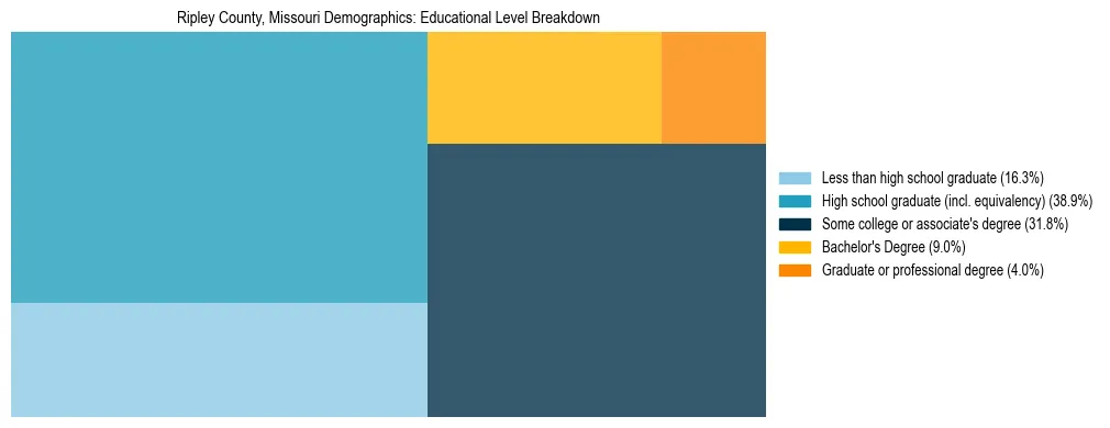 Treemap chart illustrating the educational attainment breakdown for population 25 years and over in Ripley County, Missouri.