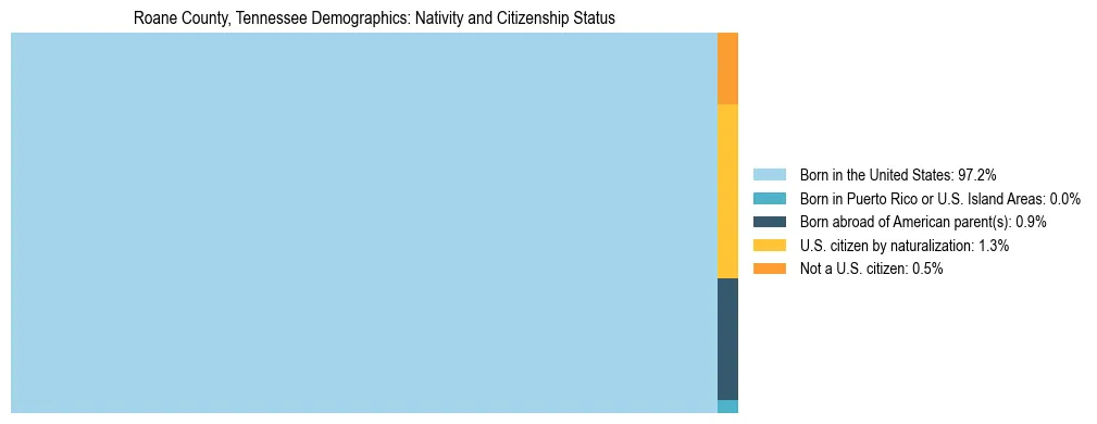 Treemap showing the population distribution by nativity and citizenship status in Roane County, Tennessee based on U.S. Census data.