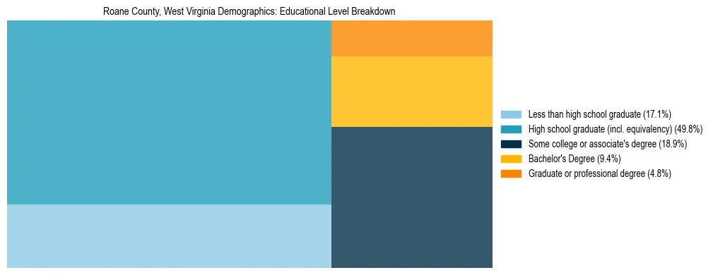 Treemap chart illustrating the educational attainment breakdown for population 25 years and over in Roane County, West Virginia.