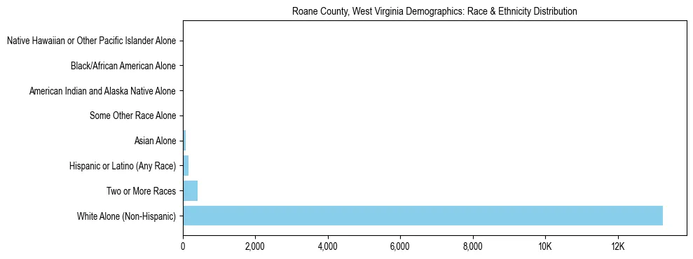 Race and Ethnicity Distribution Chart for Roane County, West Virginia