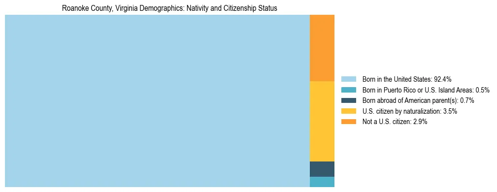 Treemap showing the population distribution by nativity and citizenship status in Roanoke County, Virginia based on U.S. Census data.