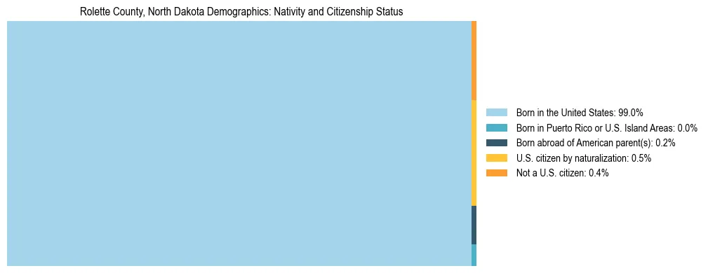 Treemap showing the population distribution by nativity and citizenship status in Rolette County, North Dakota based on U.S. Census data.