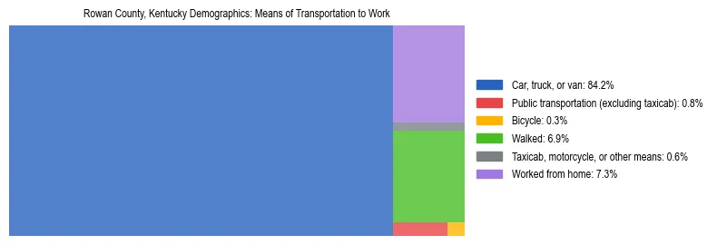 Treemap showing means of transportation to work distribution in Rowan County, Kentucky.