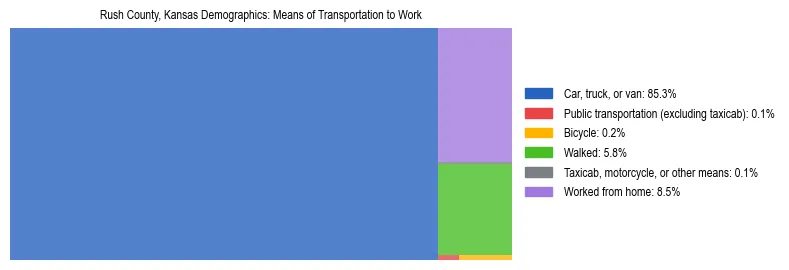 Treemap showing means of transportation to work distribution in Rush County, Kansas.