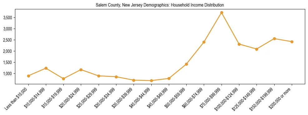 Horizontal bar chart showing household income distribution in Salem County, New Jersey.