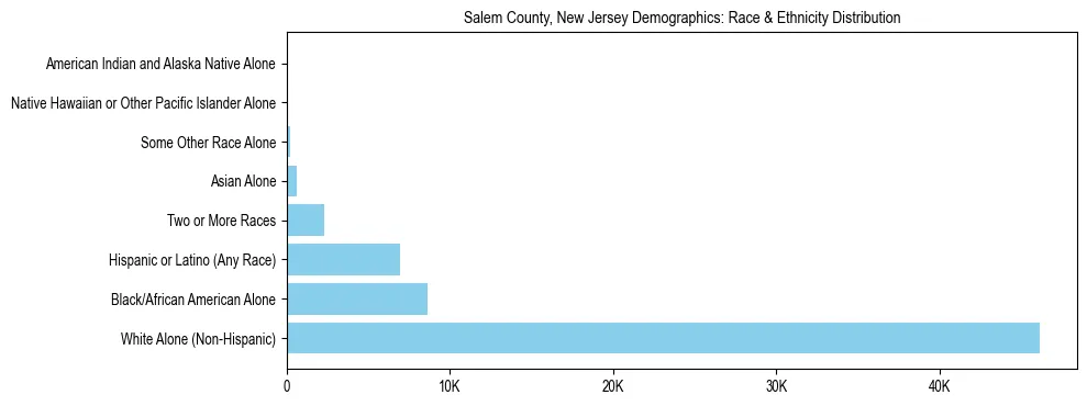 Race and Ethnicity Distribution Chart for Salem County, New Jersey