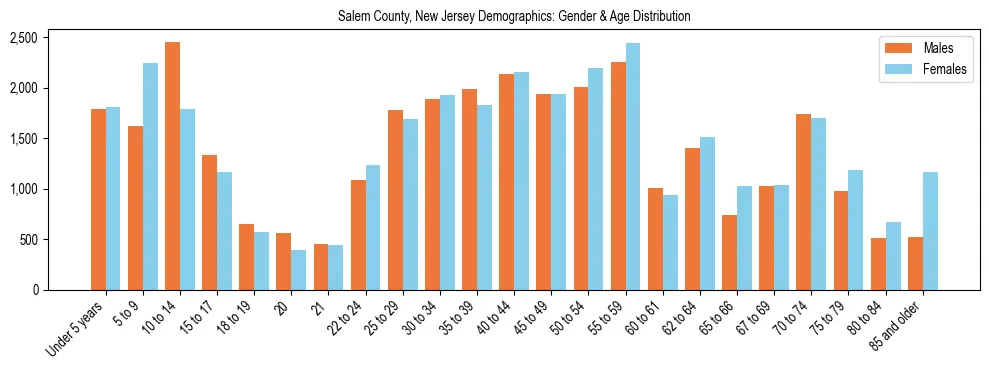 Bar chart showing the population distribution of Salem County, New Jersey by age group and gender, based on 2023 ACS data.