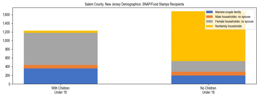 Stacked bar chart showing SNAP/Food Stamps recipient household composition by presence of children under 18 in Salem County, New Jersey, based on 2023 ACS data.