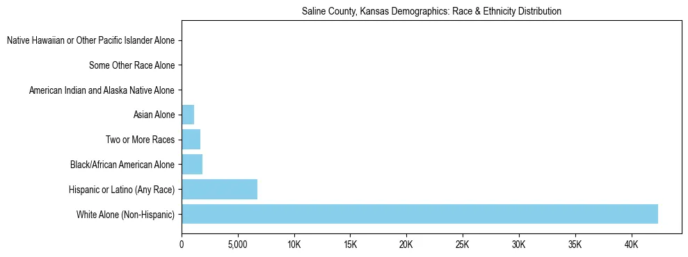 Race and Ethnicity Distribution Chart for Saline County, Kansas