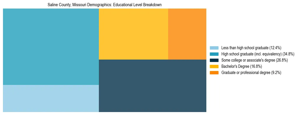 Treemap chart illustrating the educational attainment breakdown for population 25 years and over in Saline County, Missouri.