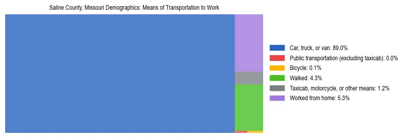 Treemap showing means of transportation to work distribution in Saline County, Missouri.