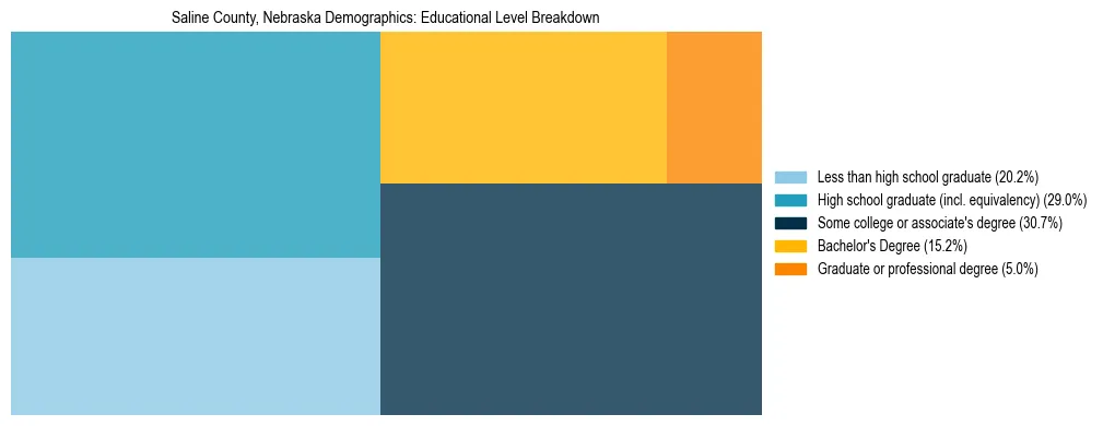 Treemap chart illustrating the educational attainment breakdown for population 25 years and over in Saline County, Nebraska.