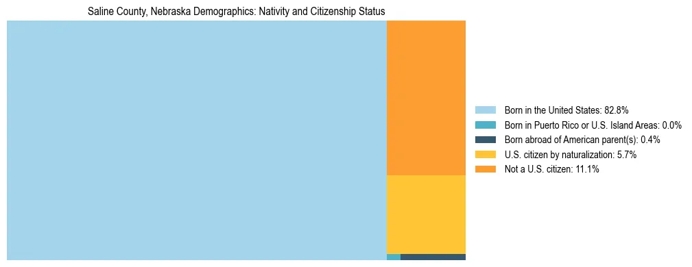 Treemap showing the population distribution by nativity and citizenship status in Saline County, Nebraska based on U.S. Census data.