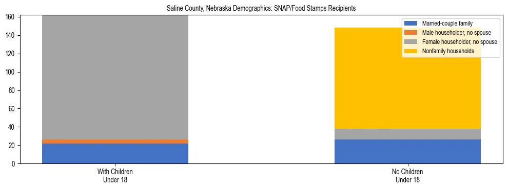 Stacked bar chart showing SNAP/Food Stamps recipient household composition by presence of children under 18 in Saline County, Nebraska, based on 2023 ACS data.