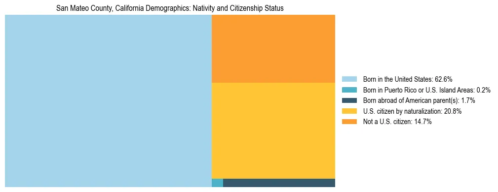 Treemap showing the population distribution by nativity and citizenship status in San Mateo County, California based on U.S. Census data.