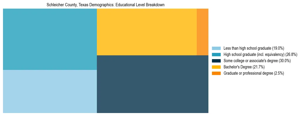 Treemap chart illustrating the educational attainment breakdown for population 25 years and over in Schleicher County, Texas.