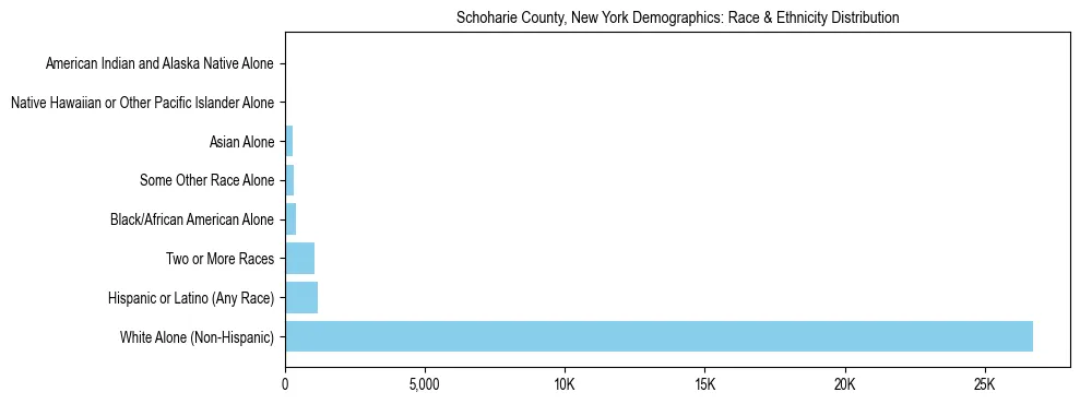 Race and Ethnicity Distribution Chart for Schoharie County, New York