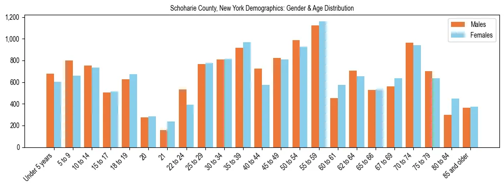 Bar chart showing the population distribution of Schoharie County, New York by age group and gender, based on 2023 ACS data.