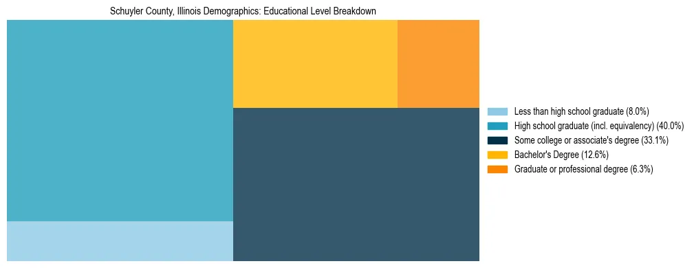 Treemap chart illustrating the educational attainment breakdown for population 25 years and over in Schuyler County, Illinois.