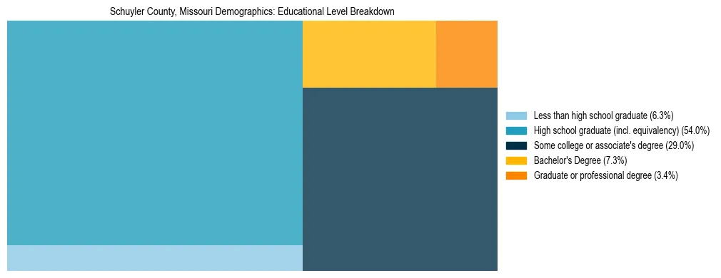 Treemap chart illustrating the educational attainment breakdown for population 25 years and over in Schuyler County, Missouri.