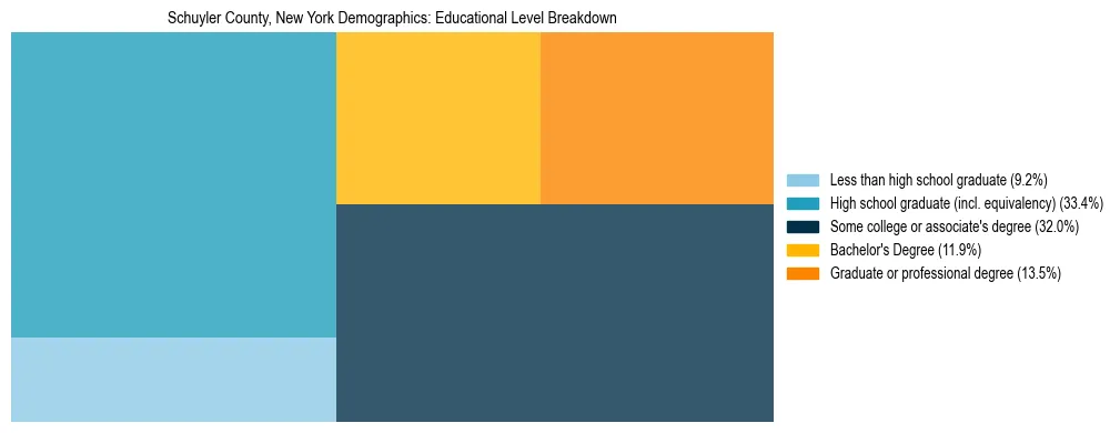 Treemap chart illustrating the educational attainment breakdown for population 25 years and over in Schuyler County, New York.