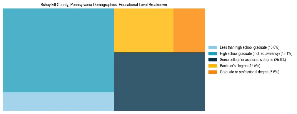 Treemap chart illustrating the educational attainment breakdown for population 25 years and over in Schuylkill County, Pennsylvania.