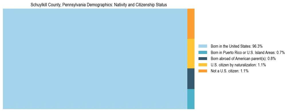 Treemap showing the population distribution by nativity and citizenship status in Schuylkill County, Pennsylvania based on U.S. Census data.
