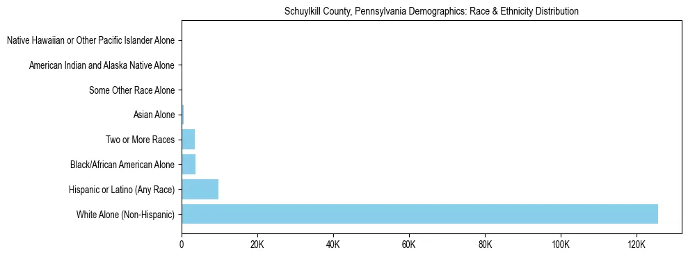 Race and Ethnicity Distribution Chart for Schuylkill County, Pennsylvania