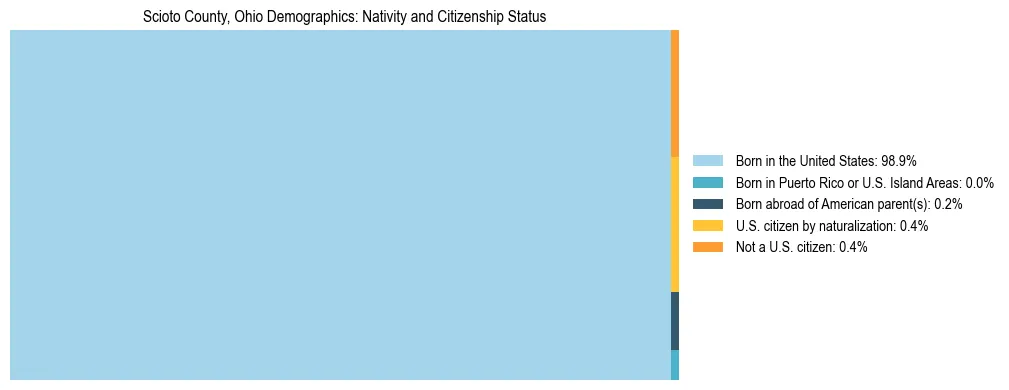 Treemap showing the population distribution by nativity and citizenship status in Scioto County, Ohio based on U.S. Census data.