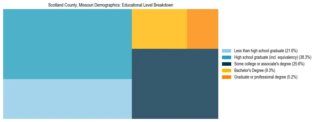 Treemap chart illustrating the educational attainment breakdown for population 25 years and over in Scotland County, Missouri.