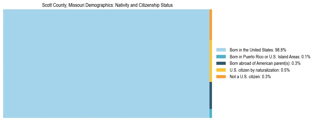 Treemap showing the population distribution by nativity and citizenship status in Scott County, Missouri based on U.S. Census data.