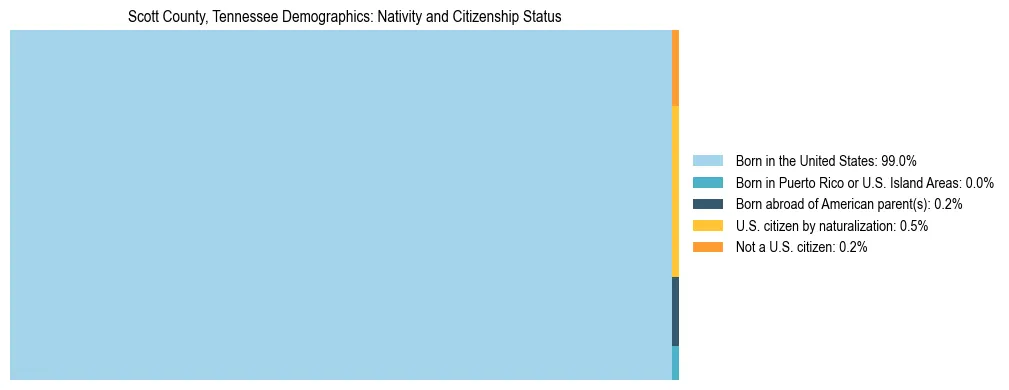 Treemap showing the population distribution by nativity and citizenship status in Scott County, Tennessee based on U.S. Census data.