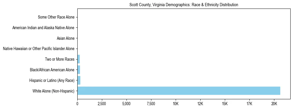 Race and Ethnicity Distribution Chart for Scott County, Virginia