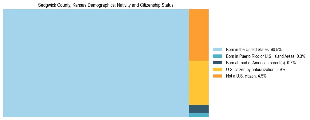 Treemap showing the population distribution by nativity and citizenship status in Sedgwick County, Kansas based on U.S. Census data.