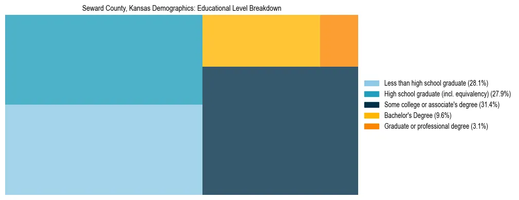 Treemap chart illustrating the educational attainment breakdown for population 25 years and over in Seward County, Kansas.